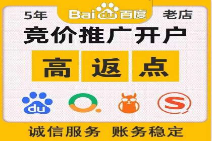 网络推广秘籍：竞价排名成功案例集锦
